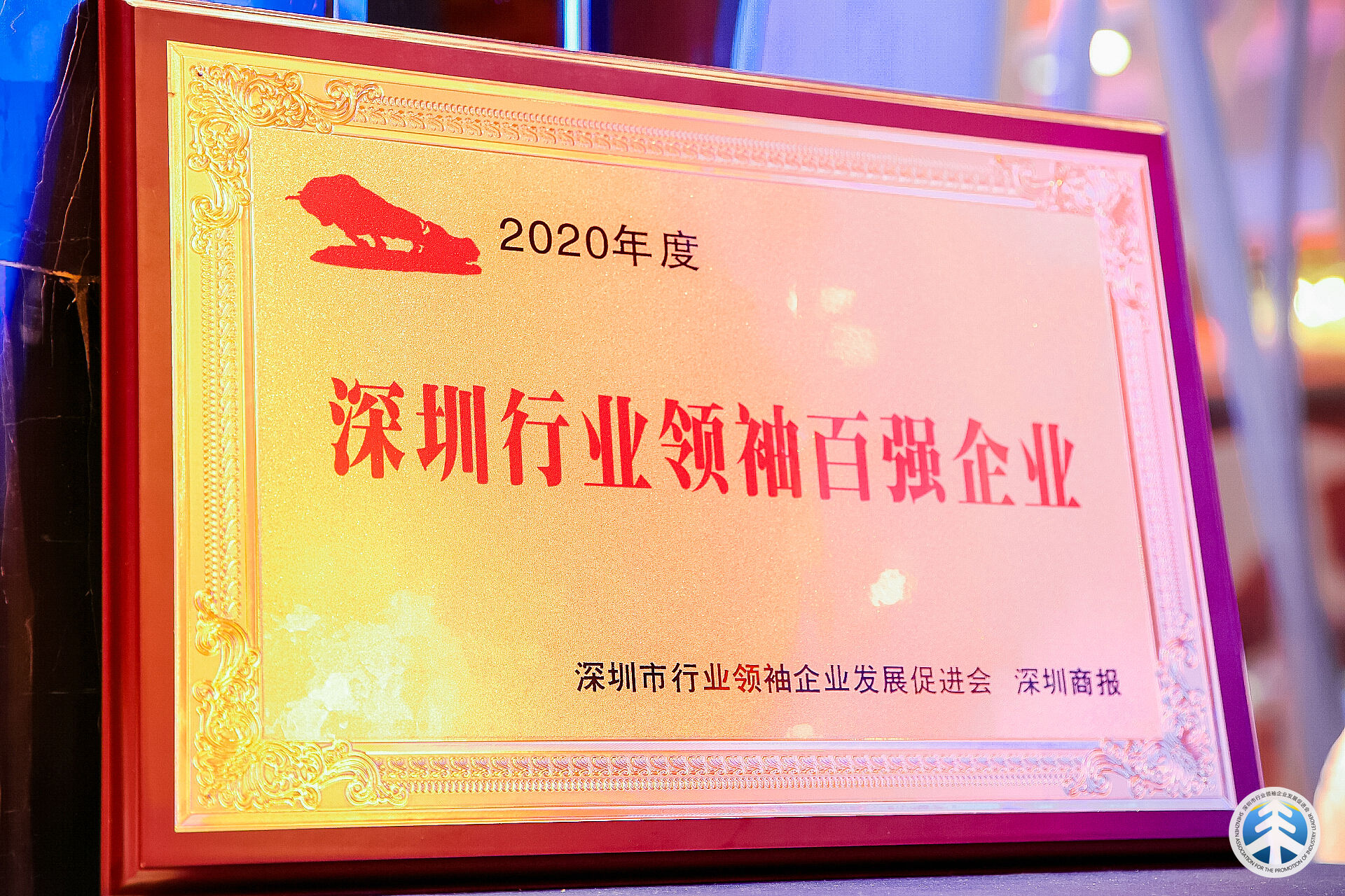 正版资料全年资料大全